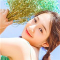 日本三經(jīng)典推理片海外版